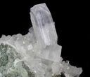 Apophyllite Crystals on Prehnite - India #39917-2